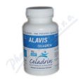 Alavis Celadrin tbl.60