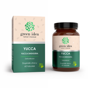 Obrázek GREEN IDEA Yucca