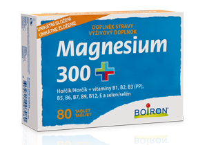 Obrázek Magnesium 300+ 40g 80 tablet