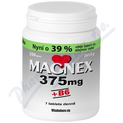 Obrázek Magnex 375 mg +B6 tbl.250