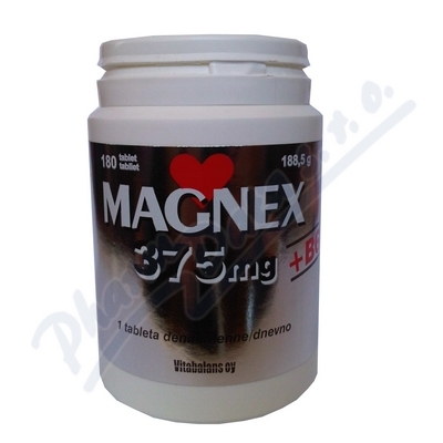 Obrázek Magnex 375mg + B6 tbl.180