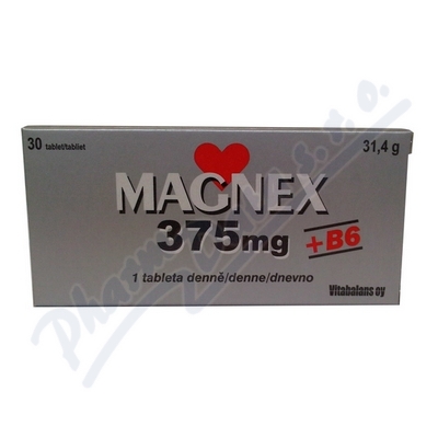 Obrázek Magnex 375mg + B6 tbl.30