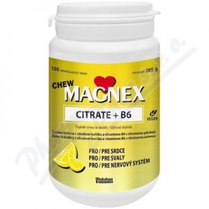 Obrázek Magnex Citrate 375mg+B6 chew tbl.100