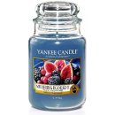 Obrázek Yankee Candle Mulberry & Fig Delight 623 g