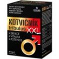 Kotvičník tribulus XXL 60 kapslí