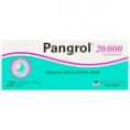 Pangrol 20000 por.tbl.ent.20 II