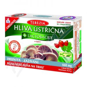 Obrázek TEREZIA Hlíva ústř.s lactob.vit C 60cps