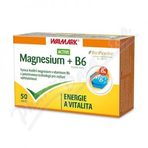 Obrázek W Magnesium Aktiv tbl.50